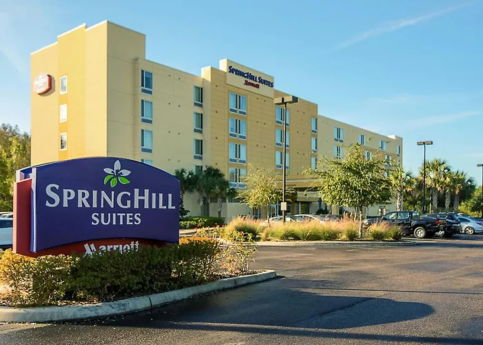 Springhill Suites Tampa North/Tampa Palms